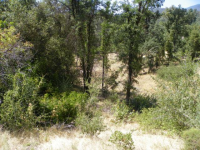 Apn 99 0-072-769 Lulniu Ln, Madera, CA 93601 