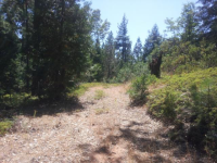 Lot 1b Fiddletown Road, Fiddletown, CA 95629 