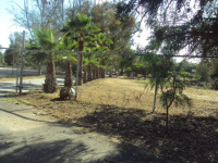 223 Pile Street, Ramona, CA 92065 