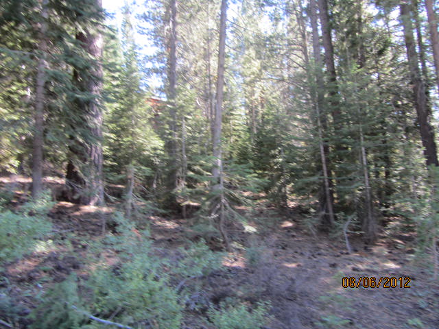 1354 Thunderbird Drive, South Lake Tahoe, CA 96150 