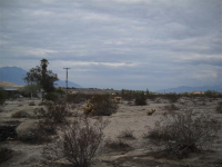 Lot 48 Prospect St, Desert Hot Springs, CA 92241 