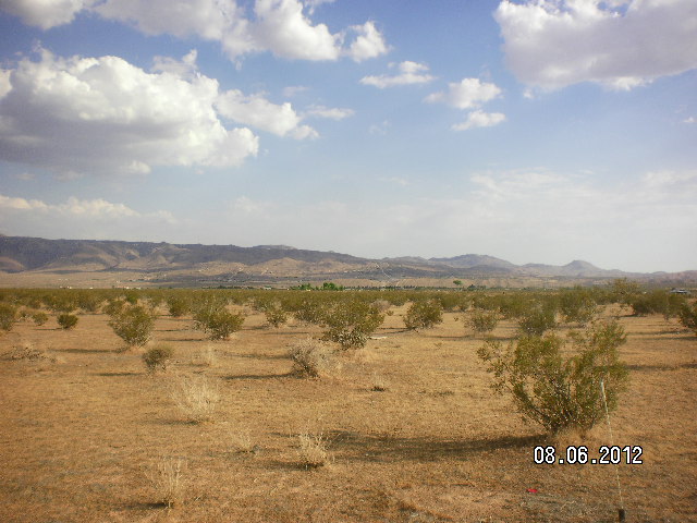 25979 Us Highway 18, Apple Valley, CA 92307 