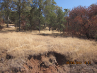 Apn 190 170 29s, Squaw Valley, CA 93675 