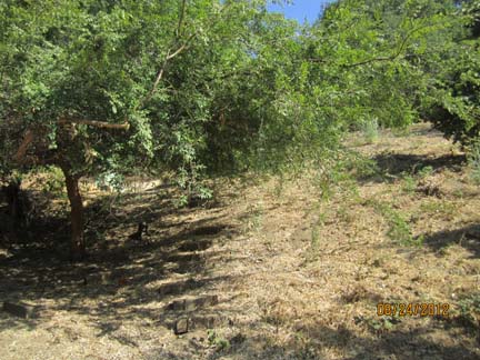 2316 Lake Shore Ave, Los Angeles, CA 90039 