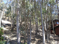 1830 Arrowhead, Oakland, CA 94611 