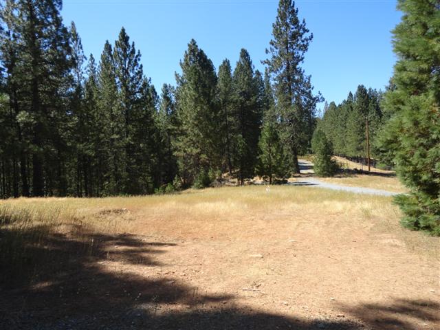 7602 Old Emigrant Trl W, Mountain Ranch, CA 95246 