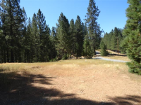 7602 Old Emigrant Trl W, Mountain Ranch, CA 95246 Foreclosure