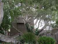 1241 Irving Avenue, Monterey, CA 93940 