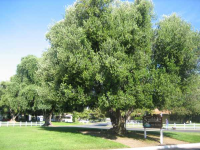 28 Eagle Green, Fremont, CA 94538 