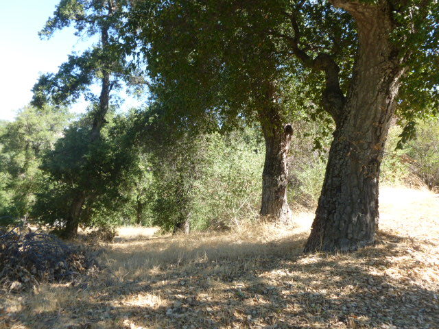 Mountainbrock Rd, Santa Ysabel, CA 92070 