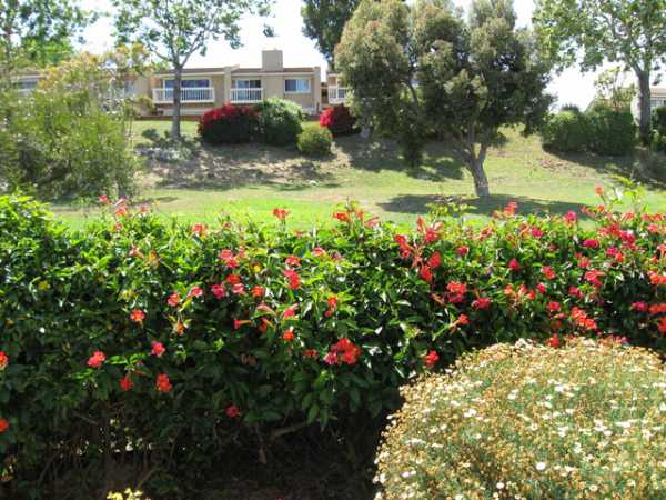 18601 newland #107, Huntington Beach, CA 92646 