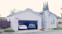 1225 Vienna Dr. #984, Sunnyvale, CA 94089 