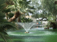 17555 Corkill Rd., #32, Desert Hot Springs, CA 92241 