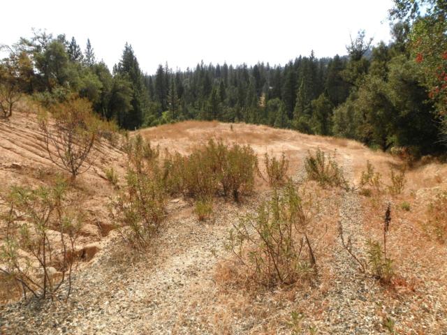 54971 Ridgecrest Court, Wishon, CA 93669 