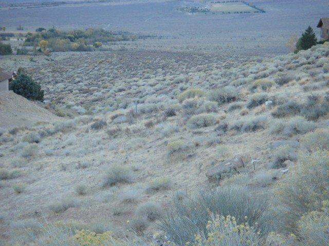 4804 Sherwin Trail, Bishop, CA 93514 