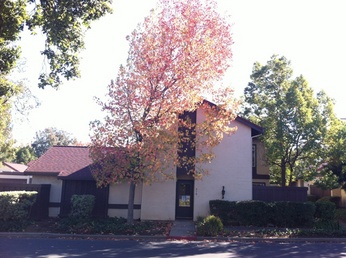 310 Creekview Court, Vacaville, CA 95688 