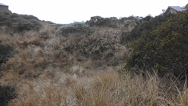 425 Mcchristian Ave, Bodega Bay, CA 94923 