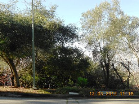 Skyline Blvd, Oakland, CA 94611 