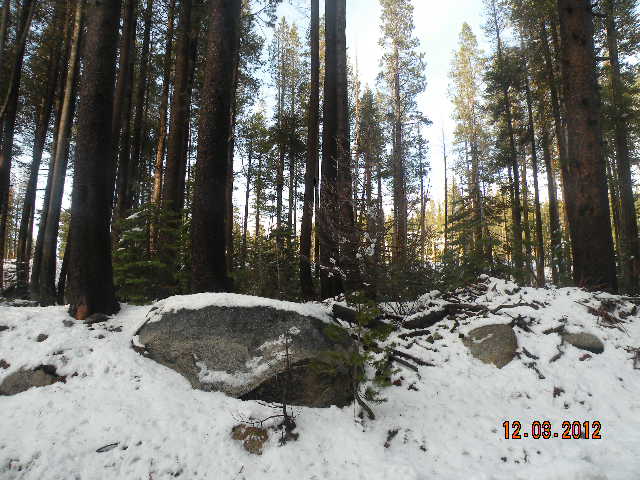 22010 Lotta Crab Tree, Soda Springs, CA 95728 