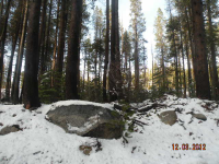 22010 Lotta Crab Tree, Soda Springs, CA 95728 