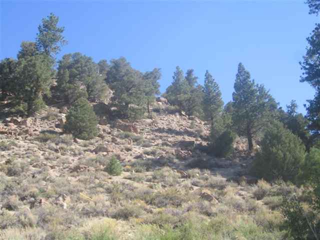 17 Sunni's Way, Toms Place, CA 93546 