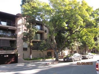 330 N Jackson St #110, Glendale, CA 91206 