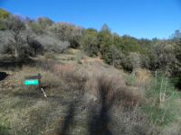 5120 Lakeview Dr, Mariposa, CA 95338 