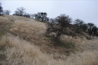 Apn 317 320 05 9, Tehachapi, CA 93561 