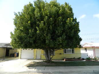 11684 Calvin Street, Yucaipa, CA 92399 