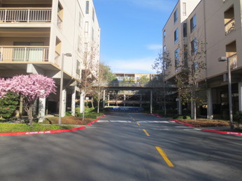490 North Civic Drive Unit 323, Walnut Creek, CA 94596 
