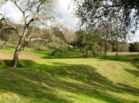 7265 Steeple Chase, Shingle Springs, CA 95682 