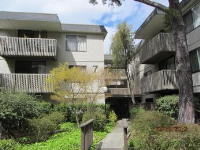 7147 Shelter Creek, San Bruno, CA 94066 