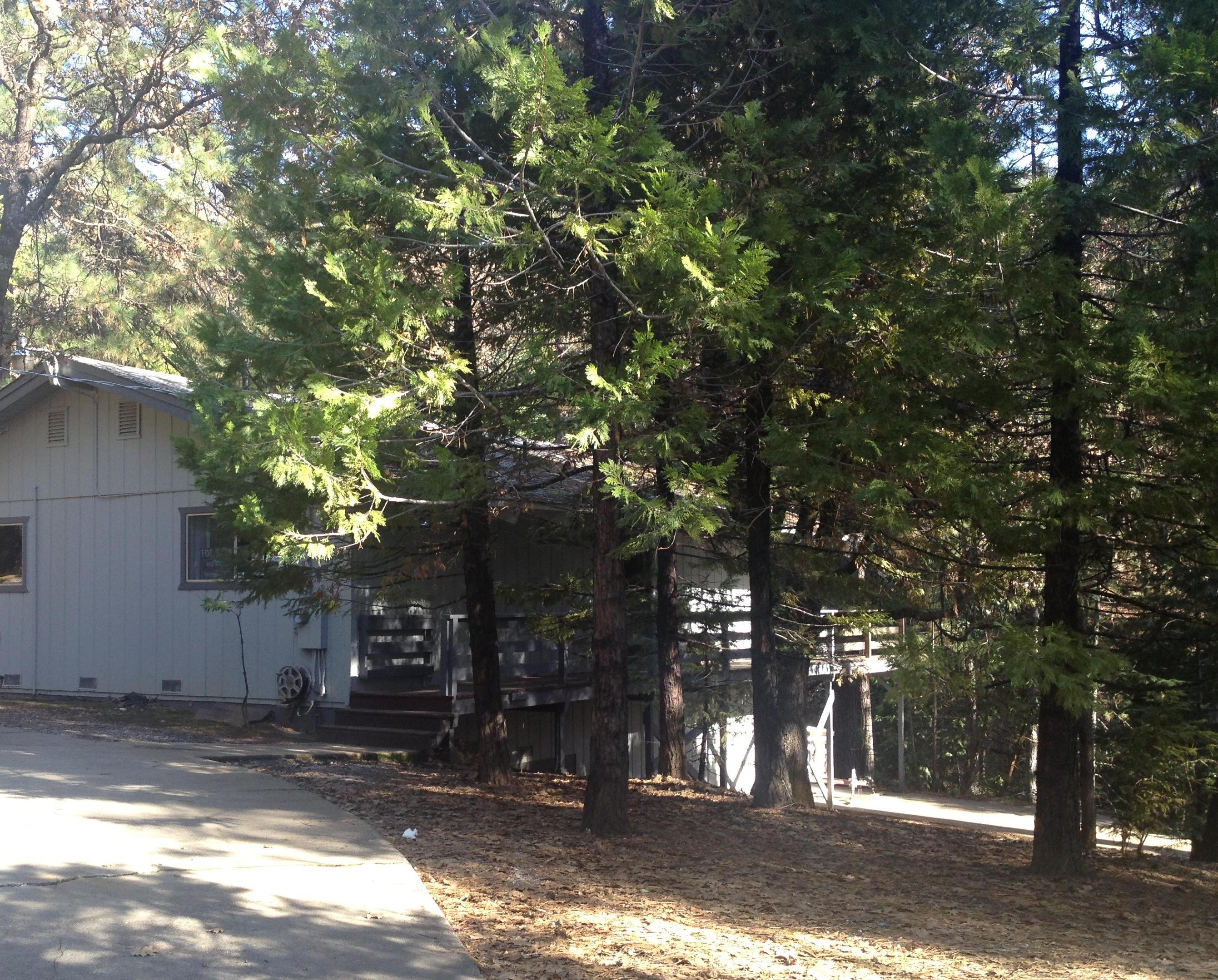 17968 Ruggles Ct, Pioneer, CA 95666 