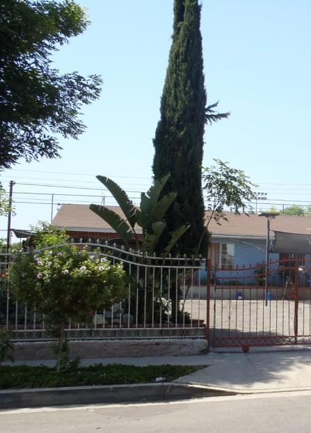 12525 Pinney St, Pacoima, CA 91331 