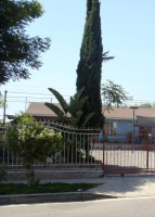 12525 Pinney St, Pacoima, CA 91331 
