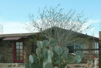 62810 E Sunny Sands, Joshua Tree, CA 92252 