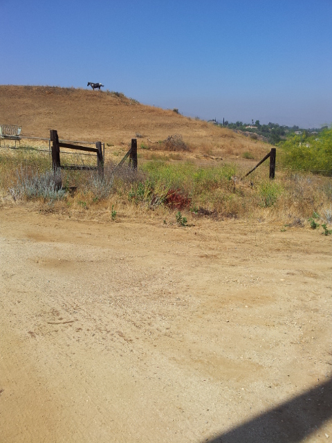 780 Wabash Ave, Redlands, CA 92374 