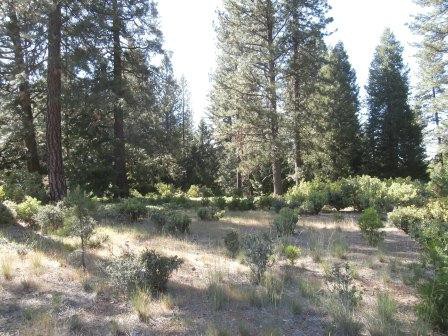 Apn 04 0-300-01-100 Indian, Smerrset, CA 95684 