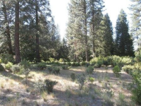 Apn 04 0-300-01-100 Indian, Smerrset, CA 95684 