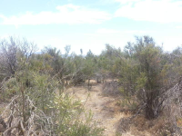 Deer Mountain Way, Anza, CA 92539 