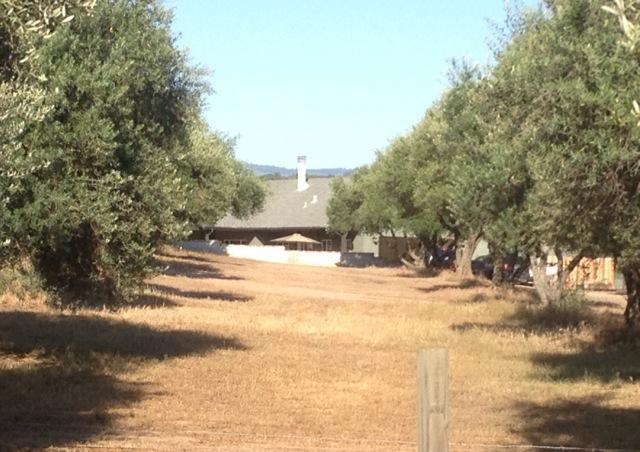 8072 Olive Branch Ln, Valley Springs, CA 95252 