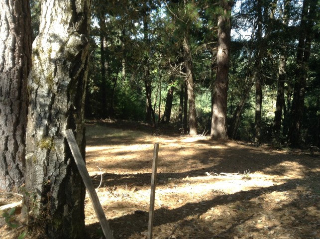Lot 17 Chinquapin Dr,3, Willits, CA 95490 