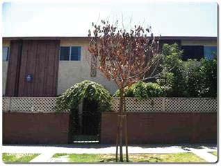 2020 W 23rd Street #15, Long Beach, CA 90810 