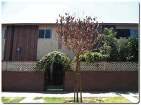 2020 W 23rd Street #15, Long Beach, CA 90810 