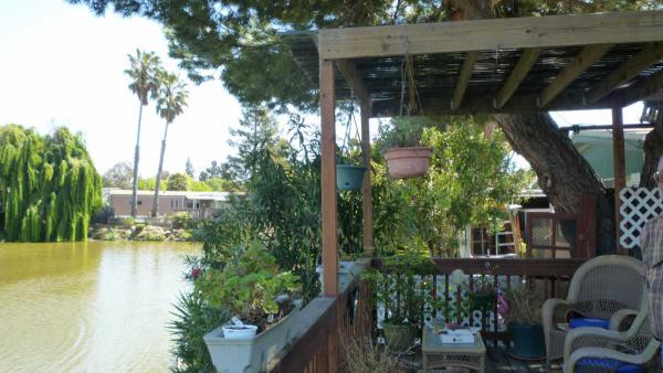 438 Los Encinos, San Jose, CA 95134 