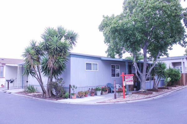 321 Los Encinos, San Jose, CA 95134 