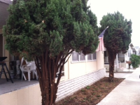 3340 Del Sol Blvd. #83, San Diego, CA 92154 