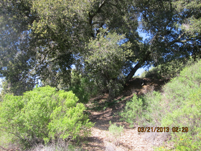 0 Armsby Lane, Morgan Hill, CA 95037 