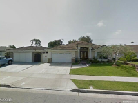 Delphinium, Fountain Valley, CA 92708 