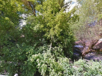 Railroad, Ben Lomond, CA 95005 